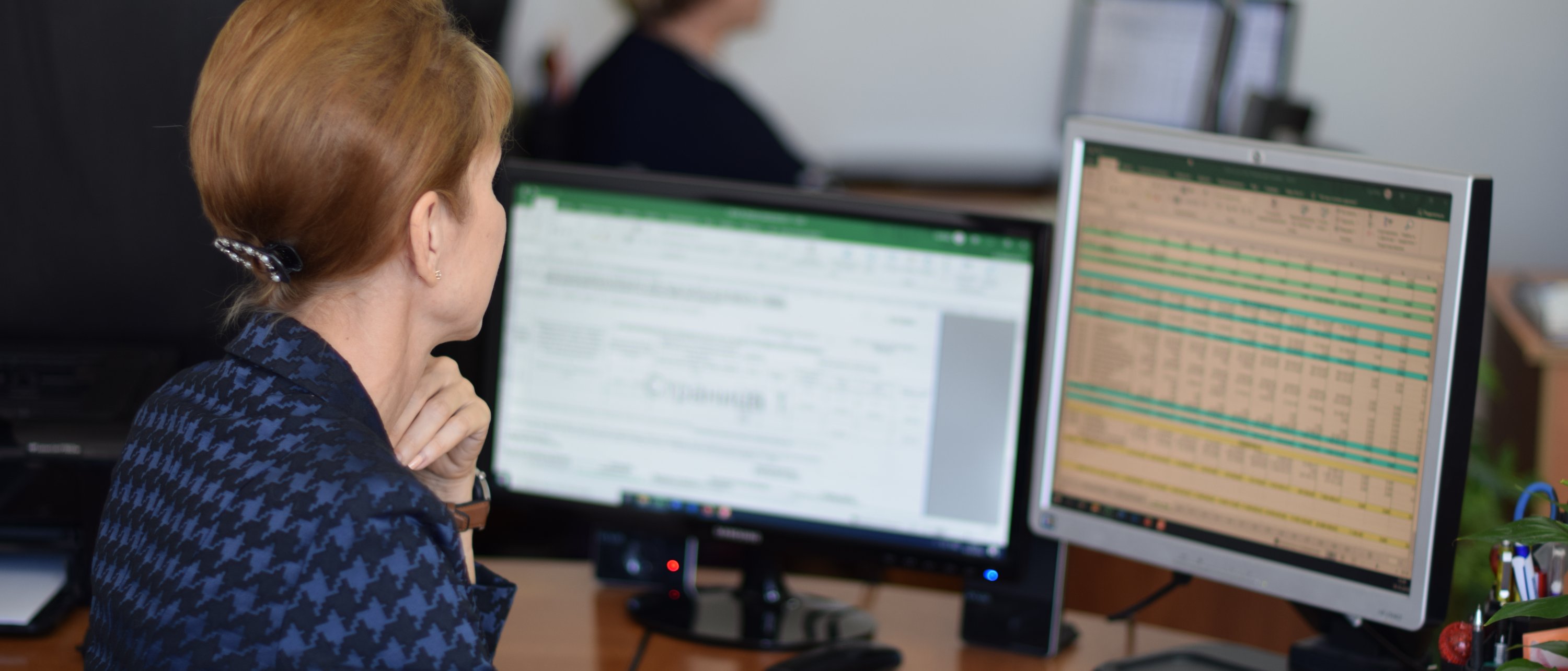 Genesis Capabilities Asset Information Tool